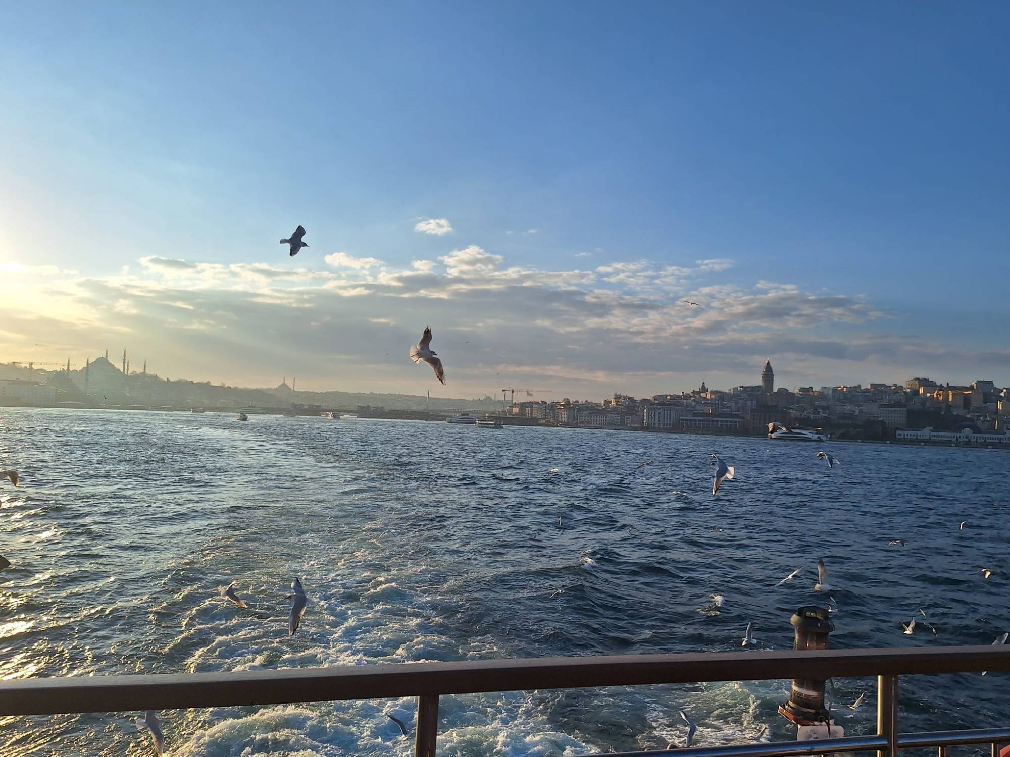 Möwen und Sonnenuntergang auf dem Bosporus, von der Fähre aus