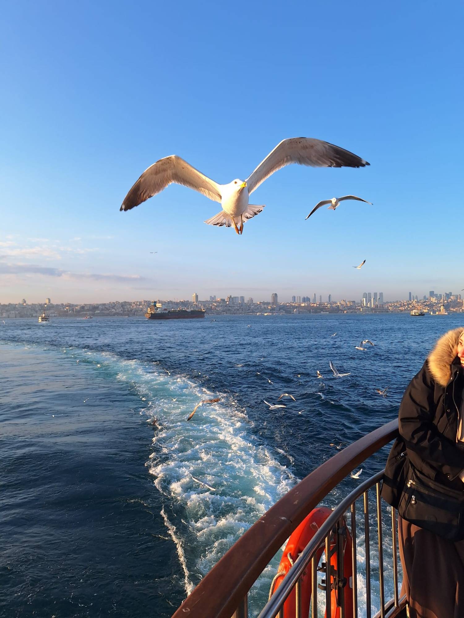 Istanbulkart und öffentliche Verkehrsmittel in Istanbul: So kommst du ohne Taxi durch die Stadt