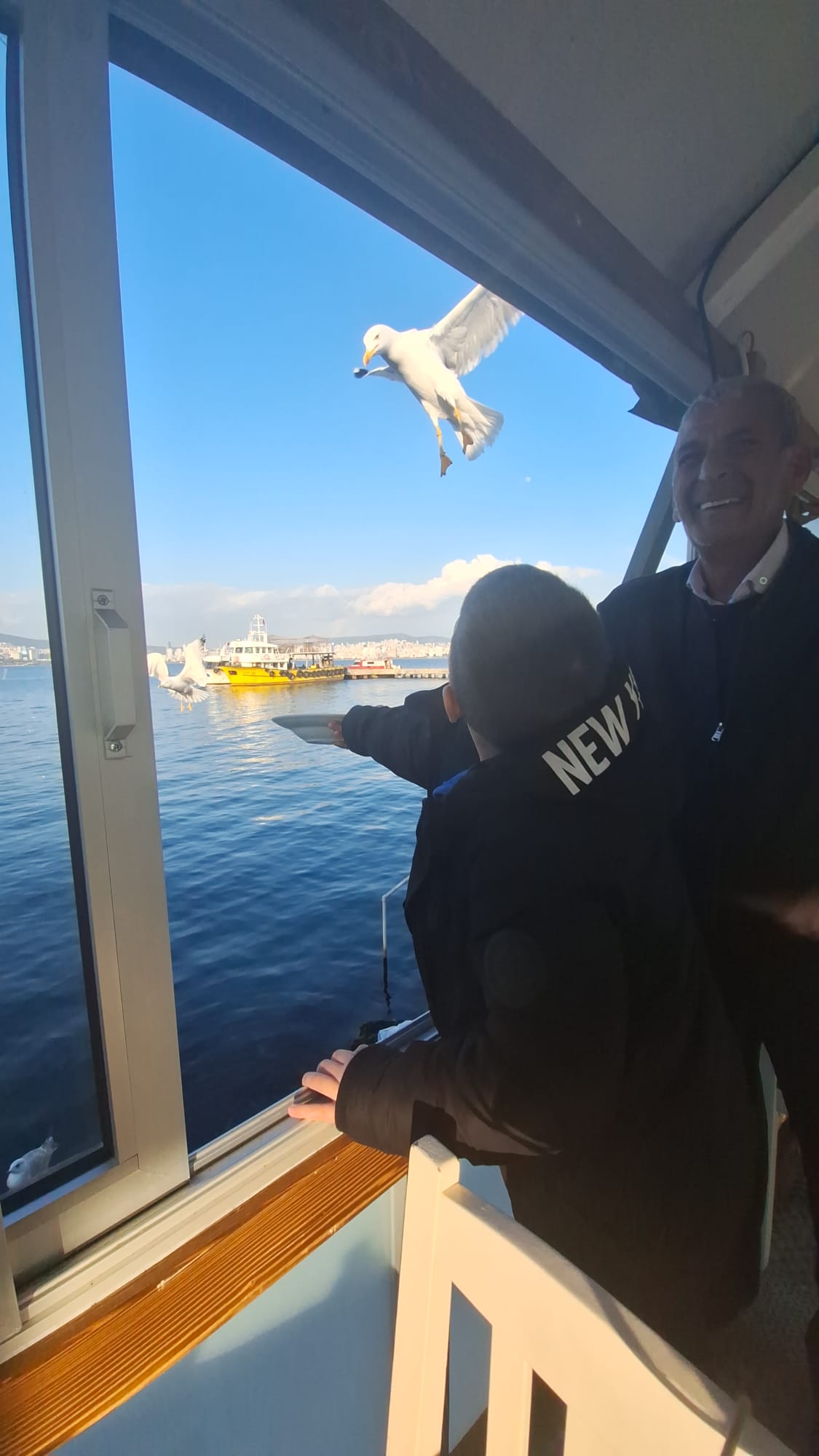 Möwen von der Fähre aus füttern