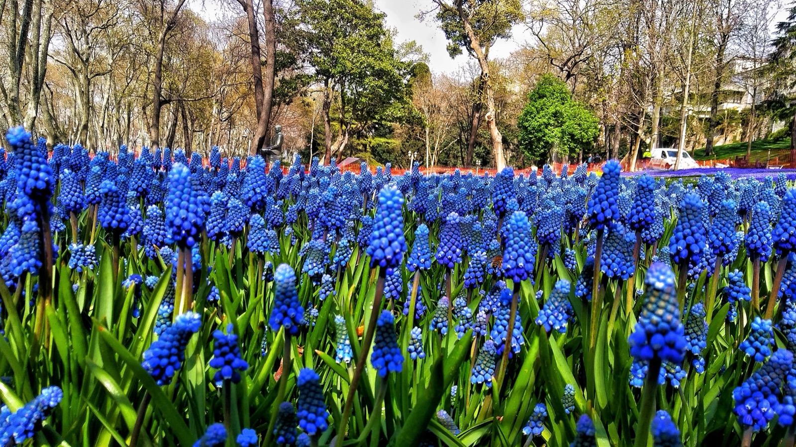 Gülhane-Park: Vom abgeschirmten Palastgarten zum öffentlichen Park – und warum hier 1928 ein Alphabet Geschichte schrieb